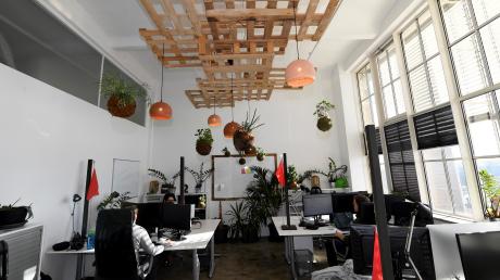 Pflanzen baumeln herunter, die Decke ist mit Paletten dekoriert: Die Büros von Team23 im Augsburger Glaspalast haben die Mitarbeiter selbst eingerichtet.  	
