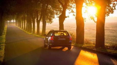 Wenn die Sonne tief steht und blendet, kann das für Autofahrer schnell gefährlich werden.