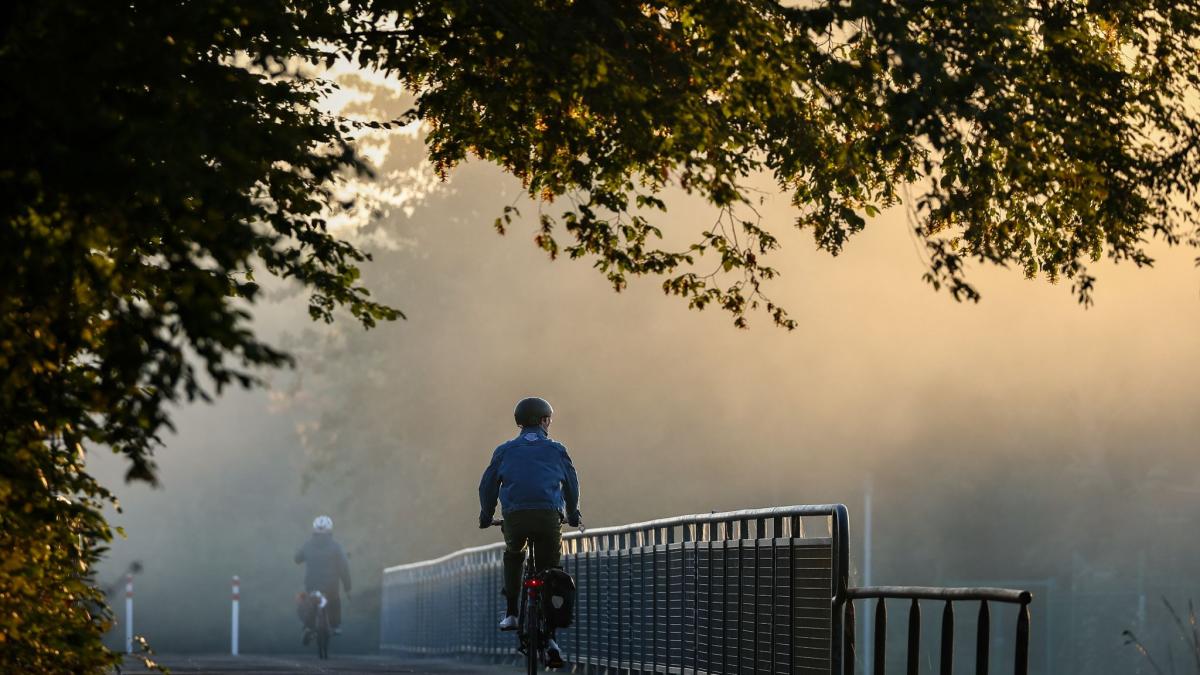 Reflektoren & Regenschutz: Nebel und Co.: So sind Radfahrer im Herbst sicher  unterwegs