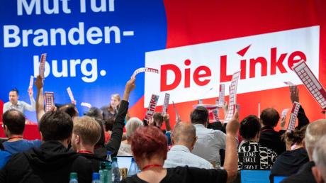 Delegierte halten Stimmkarten bei einer Abstimmung auf dem Landesparteitag von Die Linke Brandenburg in die Höhe.
