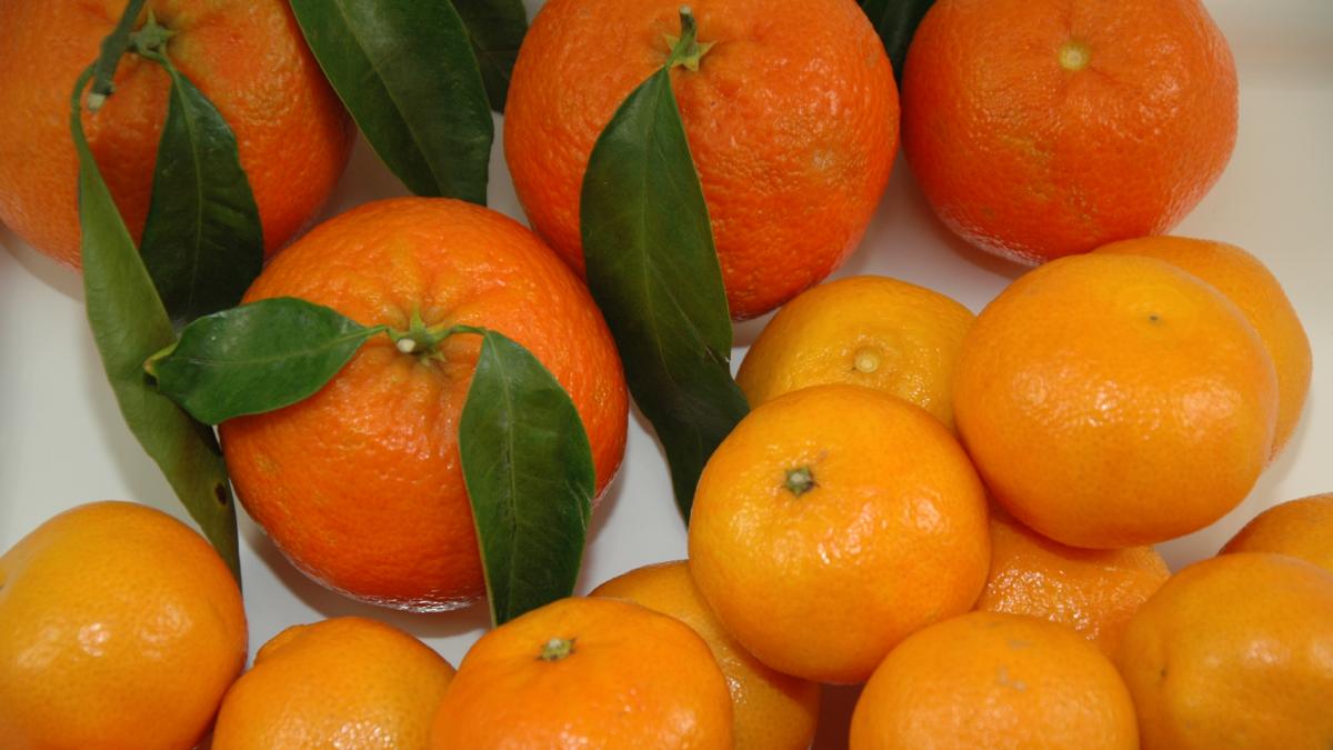Mandarinen und Clementinen sind gesund: Unterschied
