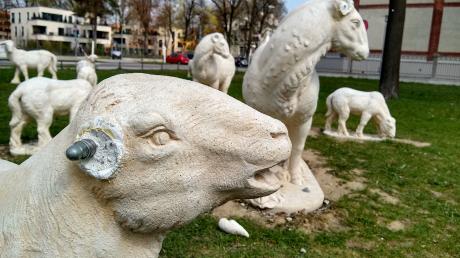 Unbekannte haben die Schaf-Figuren im Textilviertel in Augsburg beschädigt.