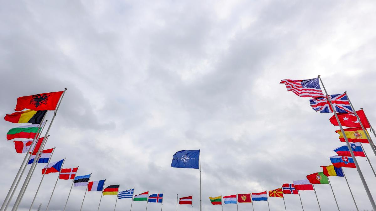 Welke landen behoren tot de NAVO?  Schrijf je in en doe mee jaar