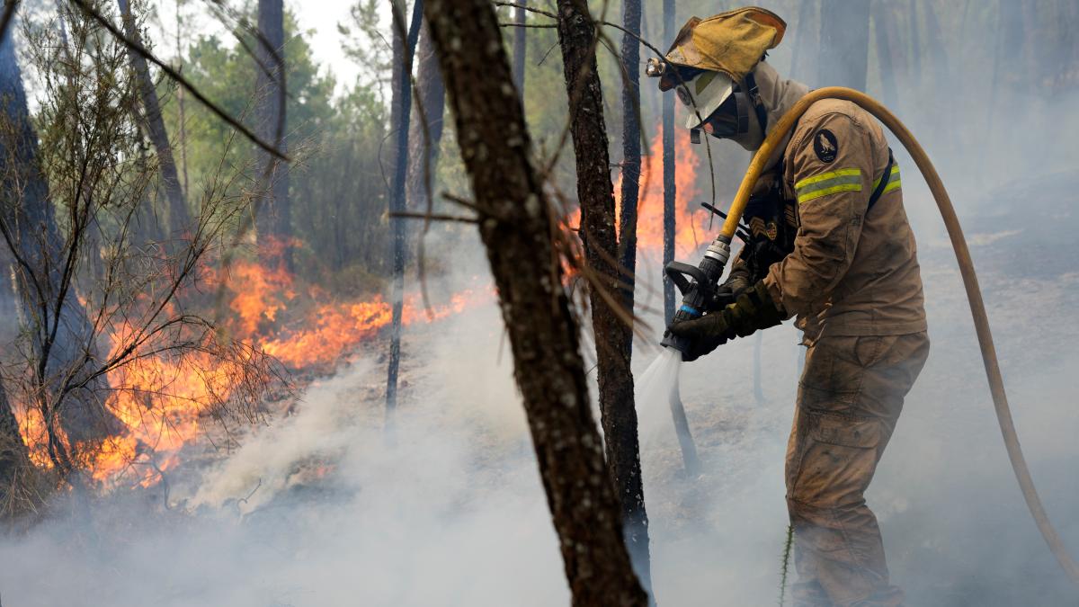 Waldbrände in Portugal aktuell: Wo brennt es?