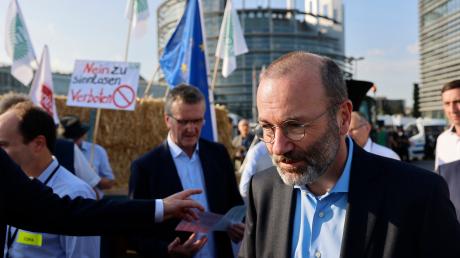 EVP-Chef Manfred Weber scheiterte mit seiner Revolte gegen das EU-Naturschutzgesetz.