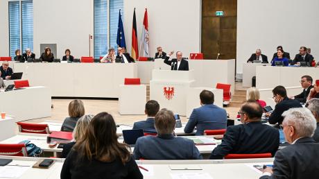 Die Brandenburger Landtagswahl findet im September 2024 statt. Wie sehen die aktuellen Umfragewerte aus?
