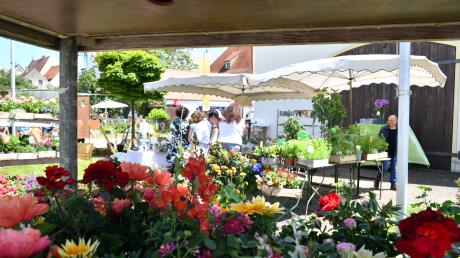 Blumen und Kräuter waren zwei der Hauptattraktionen auf dem Markt.