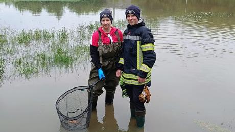 Tierischer Einsatz für die Feuerwehr Mering: Sie rettete am Montagmorgen Goldfische, die im Überschwemmungsgebiet am Badanger in Mering gesehen wurden.
