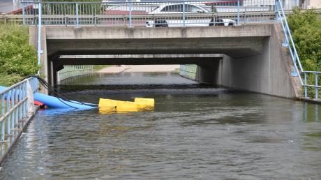 Während des Hochwassers in den Gebieten rund um Donauwörth gerieten einige Fische auch in die überflutete Unterführung in Hamlar. 

