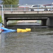 Während des Hochwassers in den Gebieten rund um Donauwörth gerieten einige Fische auch in die überflutete Unterführung in Hamlar. 

