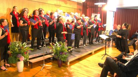 Beim Jahreskonzert des Gesangvereins Liederkranz Pfaffenhofen unter dem Motto "Europareise" schwenkte der gemischte Chor unter Leitung von Marianne Altstetter fleißig Europafahnen.