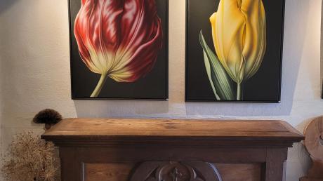 Franz Meckls Blumenbilder werden in einer Ausstellung in Thalfingen gezeigt.  