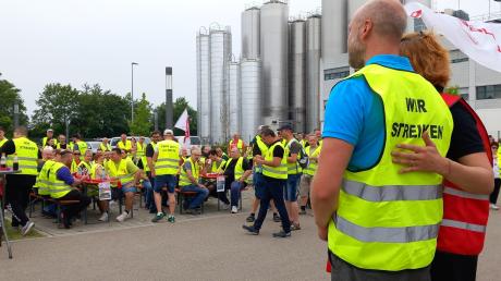 Solidarisch mit 19.000 Beschäftigten der Milchindustrie: Nach langer Zeit gab es am Donnerstag einen Warnstreik bei Zott in Mertingen. 