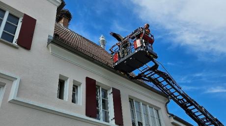 Die Feuerwehr musste den auf dem Dach des Burgauer Farbenhauses abgestürzten Storch Flo mit der Drehleiter retten.