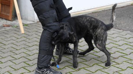 In Weißenhorn ist eine Spaziergängerin von einem Hund gebissen worden.