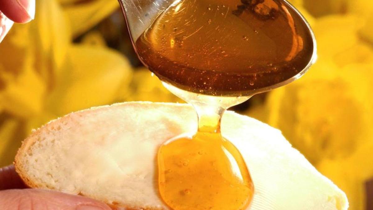 Oko Test Oko Test Untersucht Honig Produkt Von Aldi Sud Fallt Durch Augsburger Allgemeine