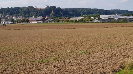Die Erweiterung des Industriegebietes in Neuburg hat eine weitere Hürde genommen. Neuburgs Markträte billigten jetzt den ersten Entwurf des Bebauungsplanes. Es umfasst eine Größe von elf Hektar. 	

