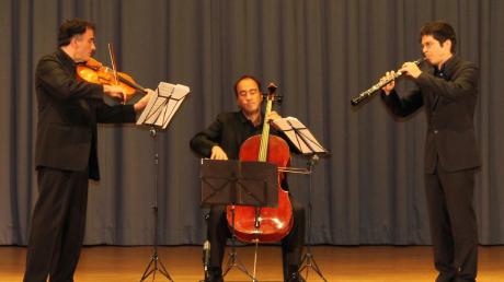 Benefizkonzert im Augustinum Dießen. Von links: Tilbert Weigel (Viola), Clemens Weigel (Violoncello) und Christoph Hartmann (Oboe). 
