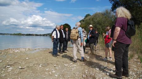 Zu einer Exkursion an die Kiesufer des Ammersees lud der Bund Naturschutz ein. Der Botaniker Burkhard Quinger (mit Hut) hat hier Flächen begutachtet. 