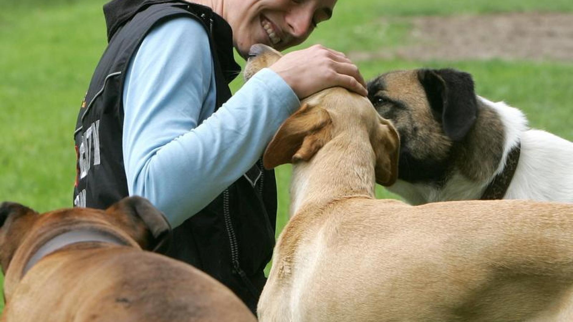 Tiere Rudelkuscheln inklusive Die Kita für den Hund Augsburger