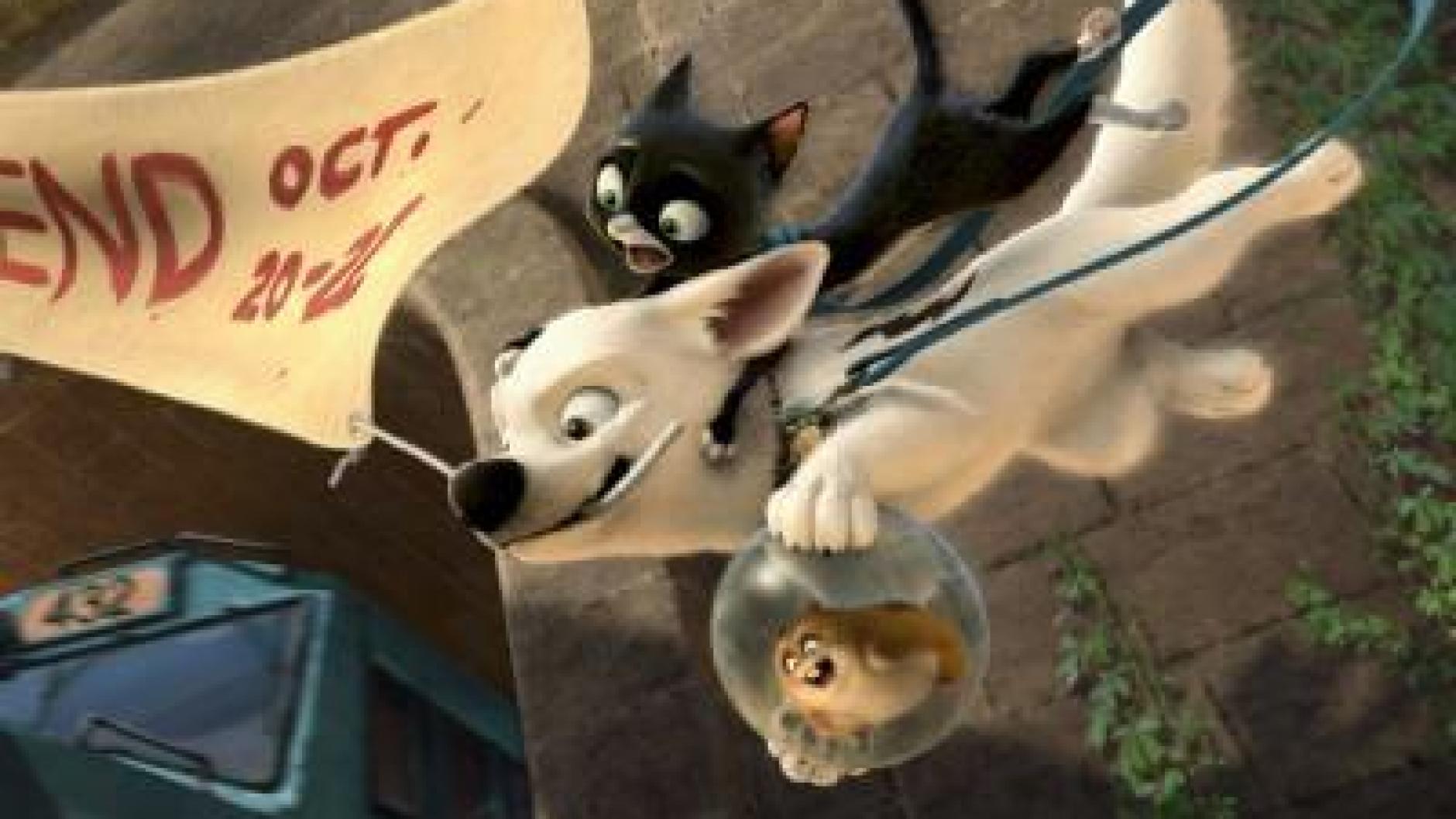 &quot;Bolt Ein Hund für alle Fälle&quot; Animationsfilm Augsburger Allgemeine