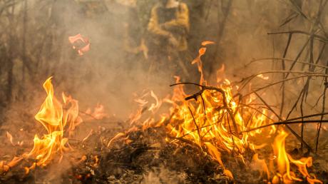 Feuerwehreinheiten bekämpfen die schlimmen Waldbrände im Pantanal.