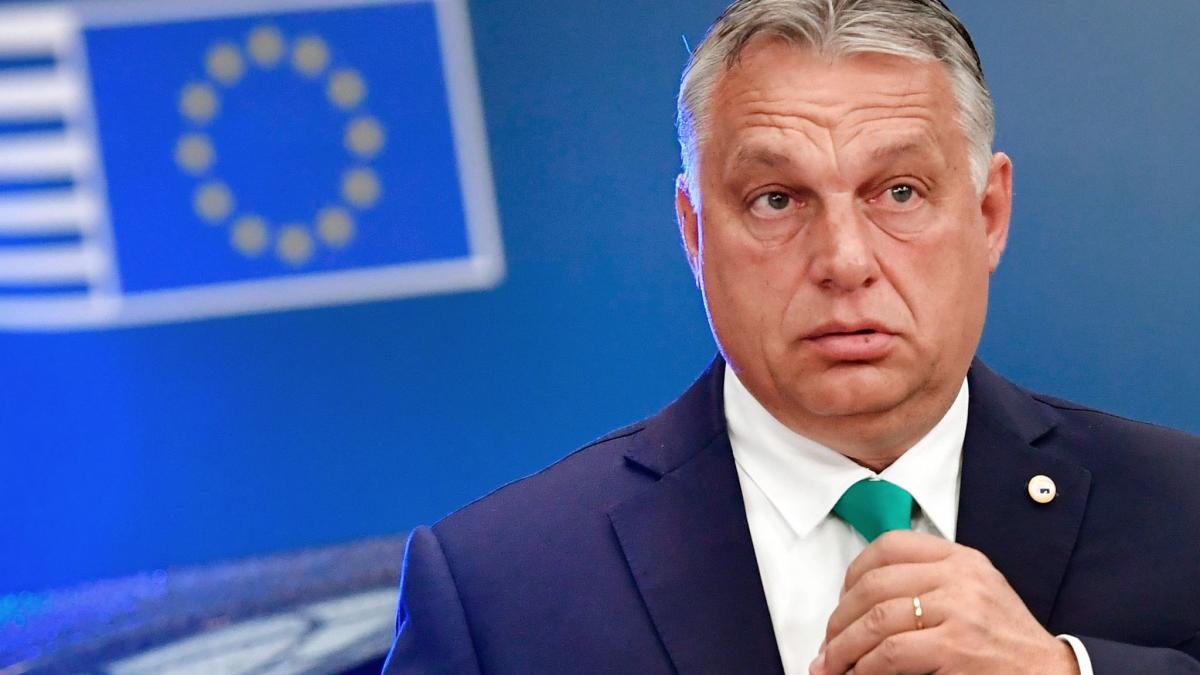 #EU-Parlament äußert Bedenken an ungarischem Ratsvorsitz